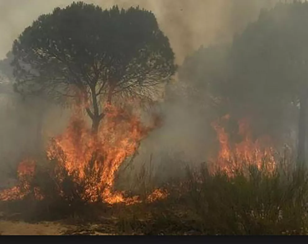 Chemes: "Las condiciones son propicias para incendios forestales y rurales"