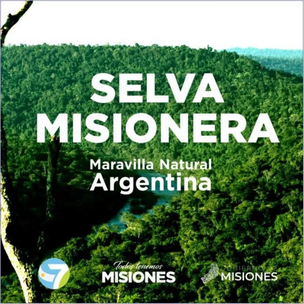 La Selva Misionera fue electa una las 7 Maravillas Naturales de la Argentina