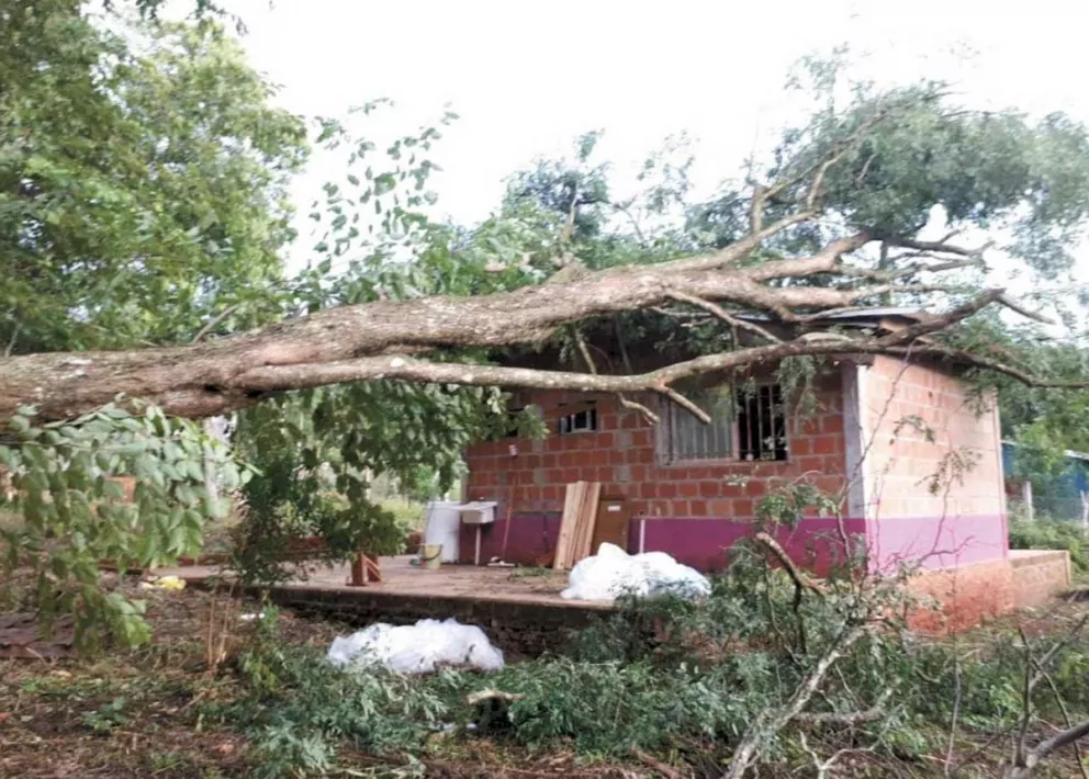 En barrio Jost de Eldorado un árbol se cayó sobre una casa.