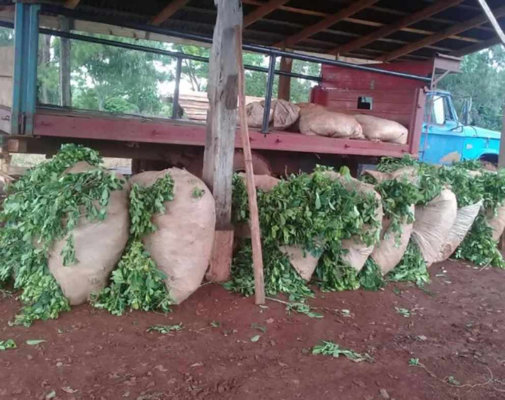 San Pedro: Recuperaron más de 600 kg de hoja de yerba que habían sido sustraídos