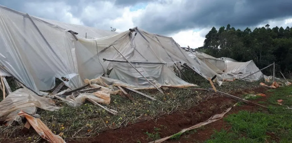 Productor de tomates y morrones perdió 200 mil pesos por las tormentas