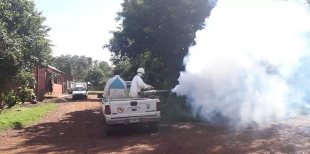 En Puerto Iguazú las autoridades confirmaron el primer caso de dengue del 2019