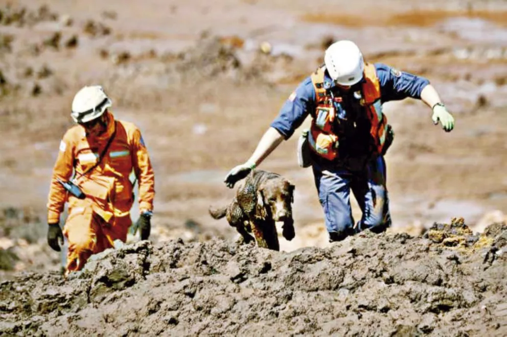Sigue el temor por el colapso de represas mineras en Brasil  