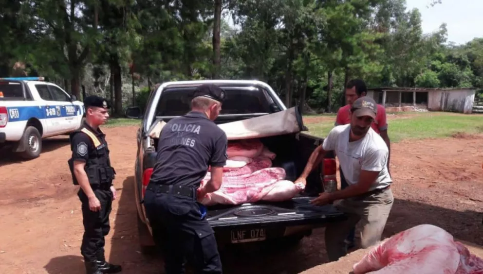 Incautan y queman casi 500 kilos de carne porcina ilegal