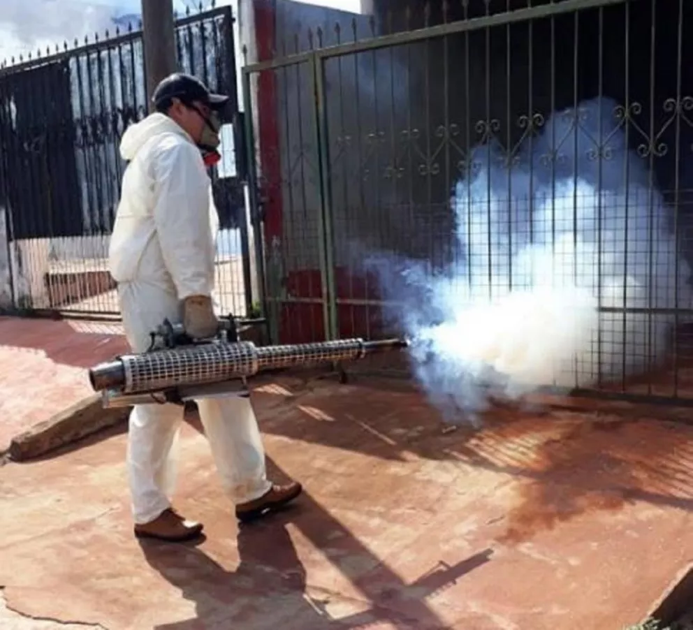 Fumigación contra el mosquito que transmite el dengue 