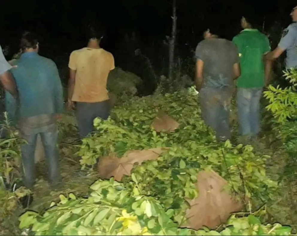 Yacutinga: Falsos tareferos robaban a comerciante uruguayo