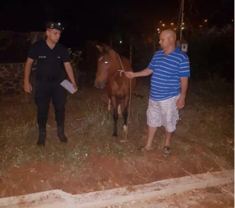 Le robó el caballo a un vecino y fue detenido en San Ignacio