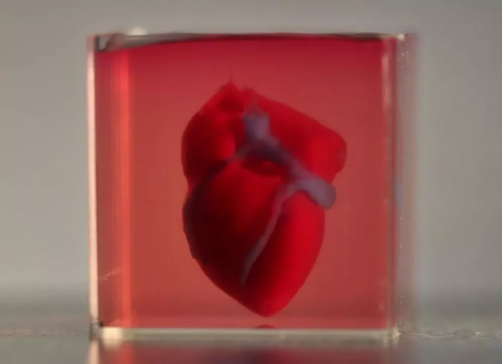 Imprimen el primer corazón en 3D con células del propio paciente