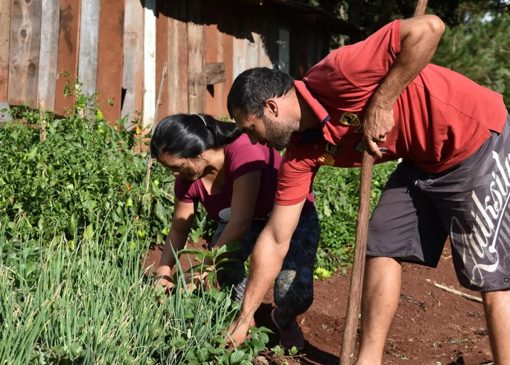 Yanina y Raúl trabajan cada día para hacer crecer las verduras que luego comercializan.