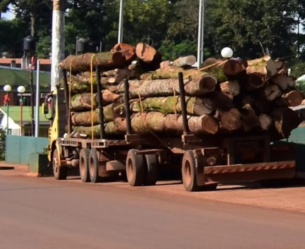 Gendarmería decomisó más de 30 rollos de madera nativa en San Pedro
