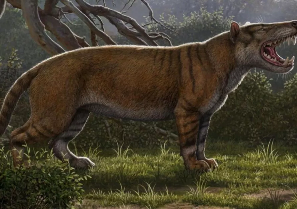 Encontraron en Kenia los restos de un nuevo mamífero gigante, el "gran león africano"