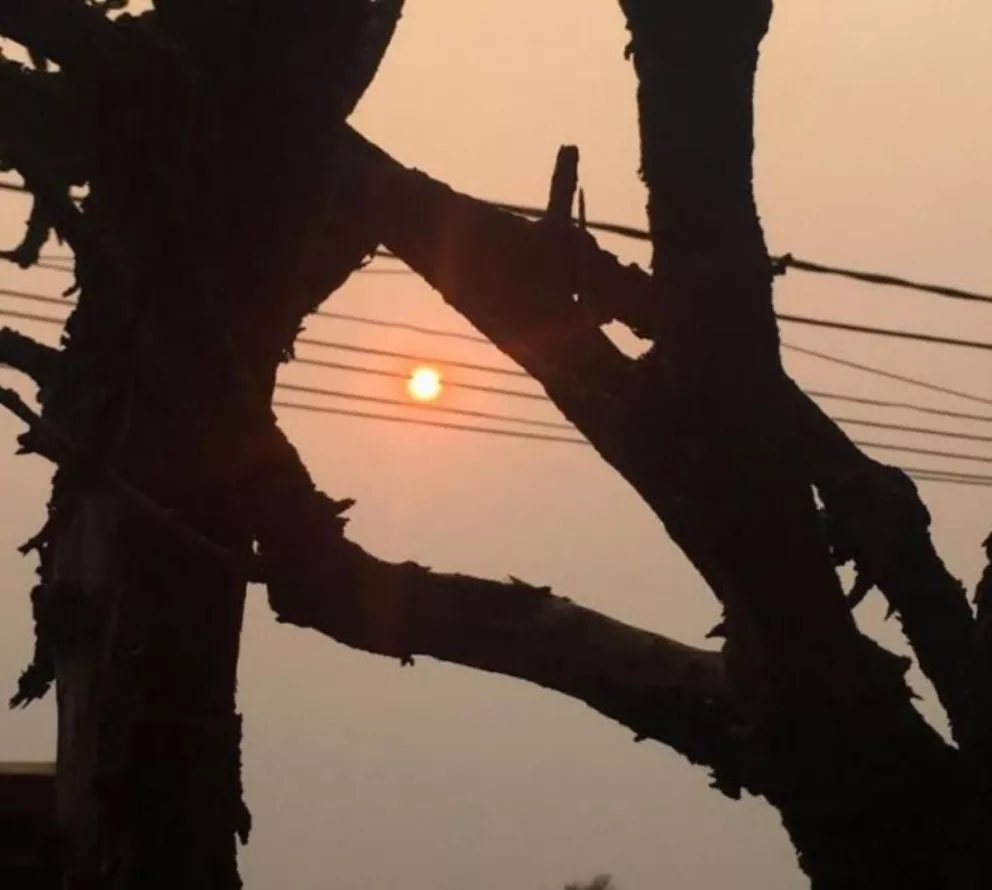 El sol rojo en la zona Norte de Misiones se debe a la presencia de un cordón de humo