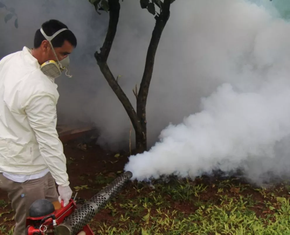 Fumigan por posible caso autóctono de dengue en Montecarlo