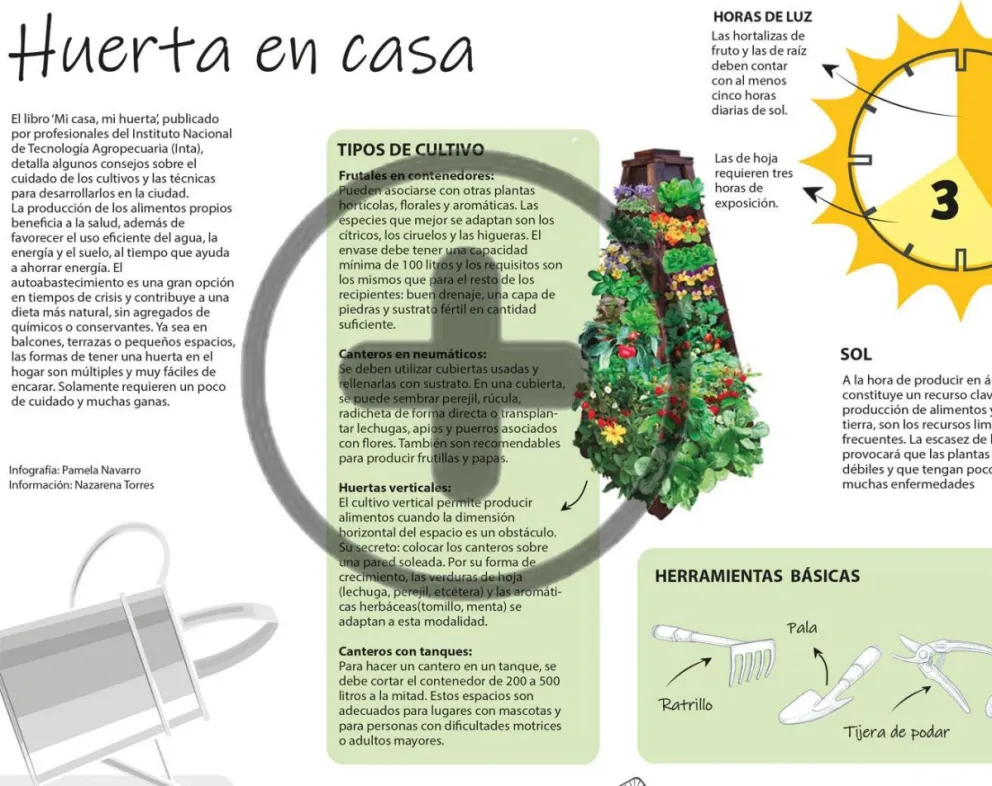 Huerta en casa