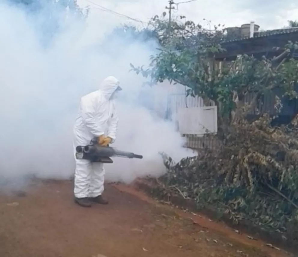 Sigue la lucha contra en dengue en Montecarlo