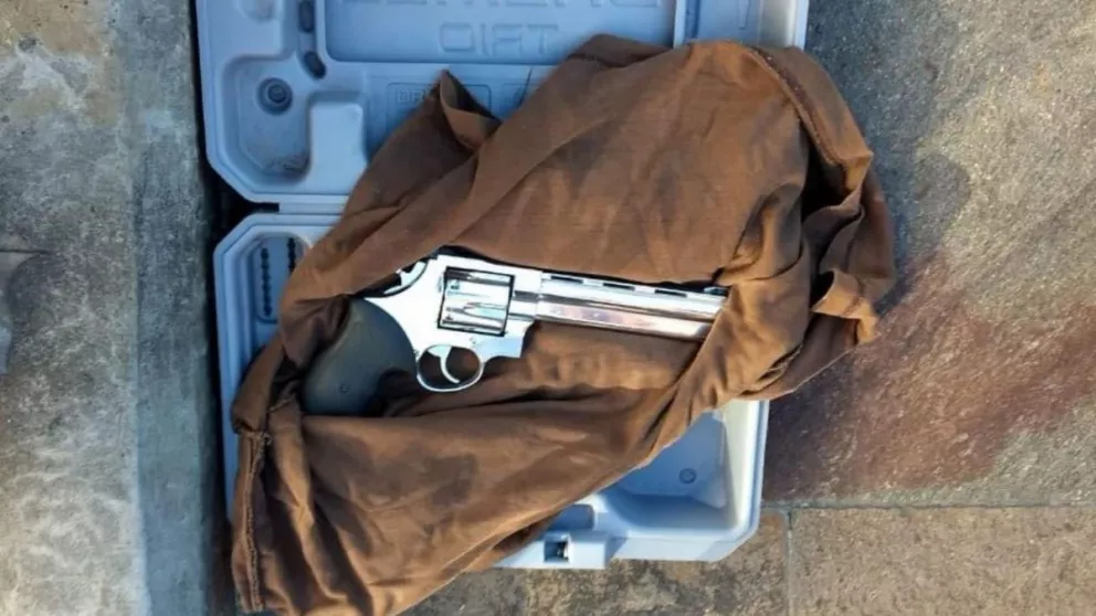 Un Magnum 44 Taurus, el revólver del hombre que quiso entrar a Casa Rosada