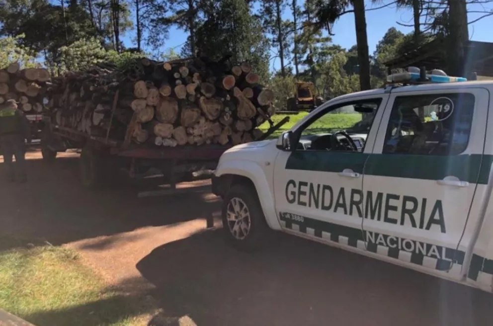Gendarmería secuestró dos camiones con madera en San Pedro