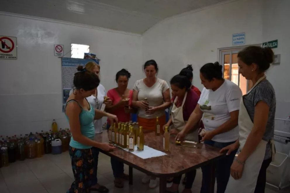 San Pedro: organizan la primera  jornada de mujeres emprendedoras