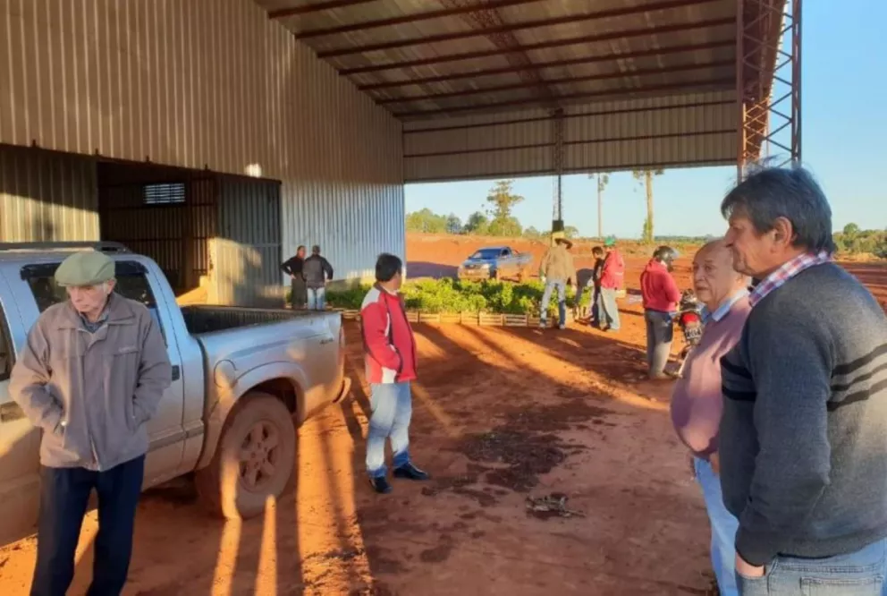 San Pedro: Cooperativa busca obtener su propia materia prima, plantando yerba mate