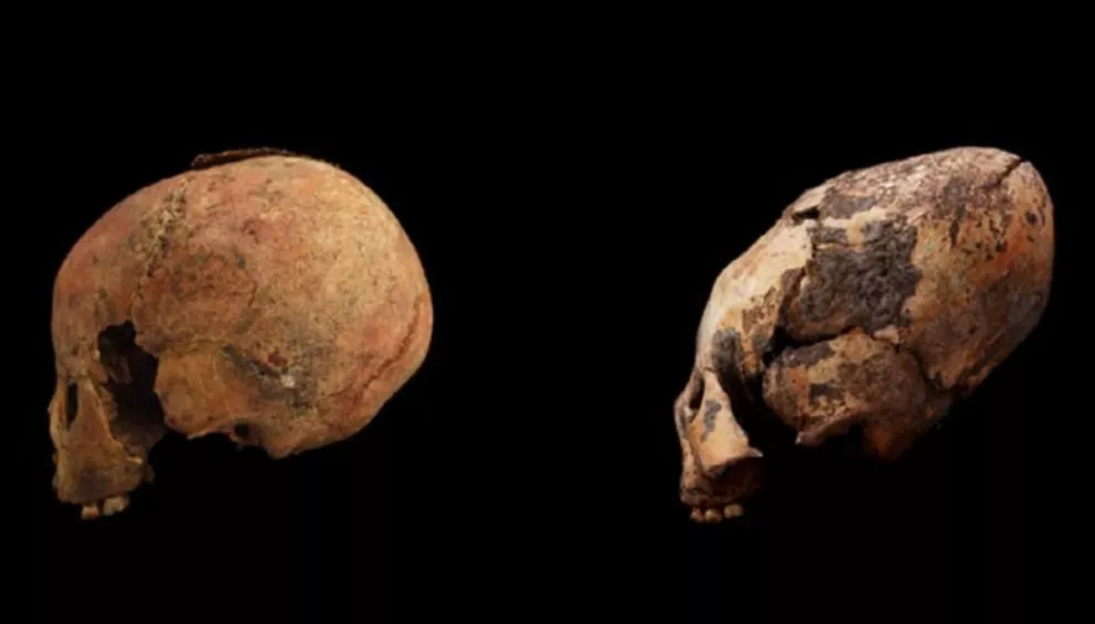 Hallan 11 nuevos cráneos alargados en una tumba de hace miles de años en China