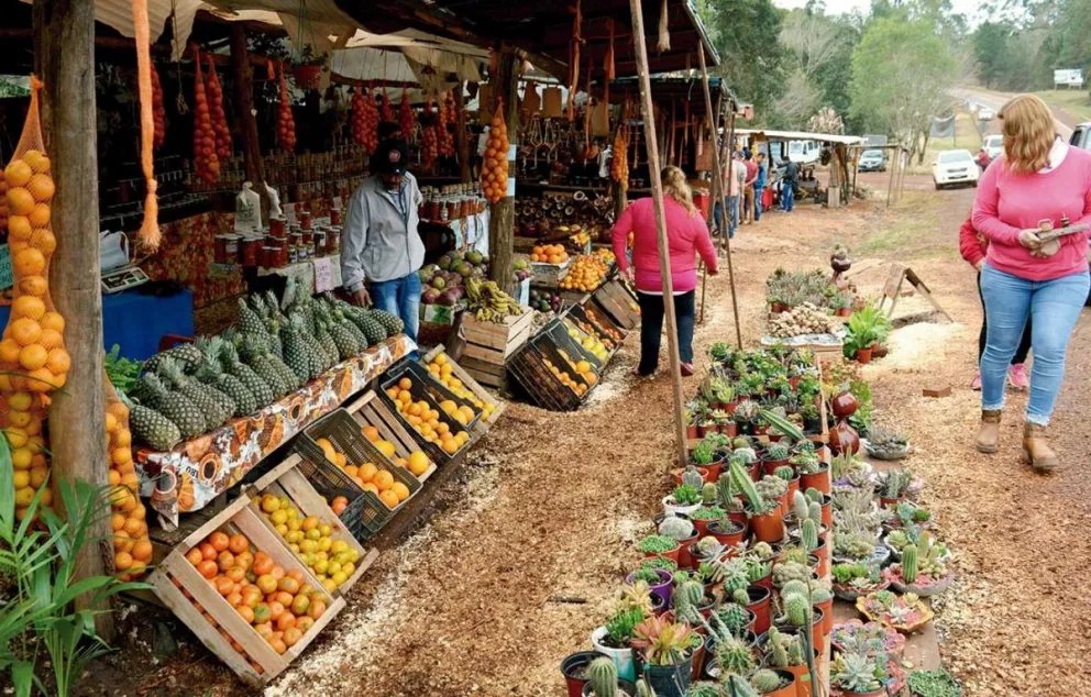 Emprendedores de la zona aprovecharon la ocasión para vender productos frescos, plantas y artesanías.