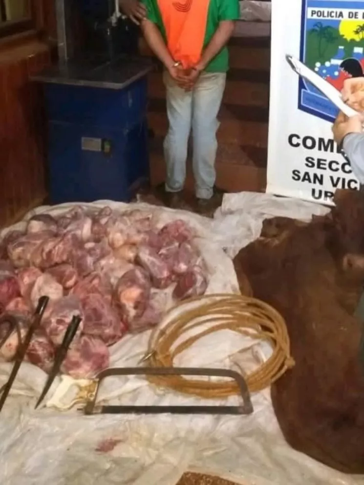 San Vicente: lo atraparon con 130 kilos de carne de vaca