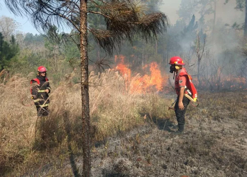 Bomberos de Misiones trabajando en un incendio rural el 15 de agosto pasado