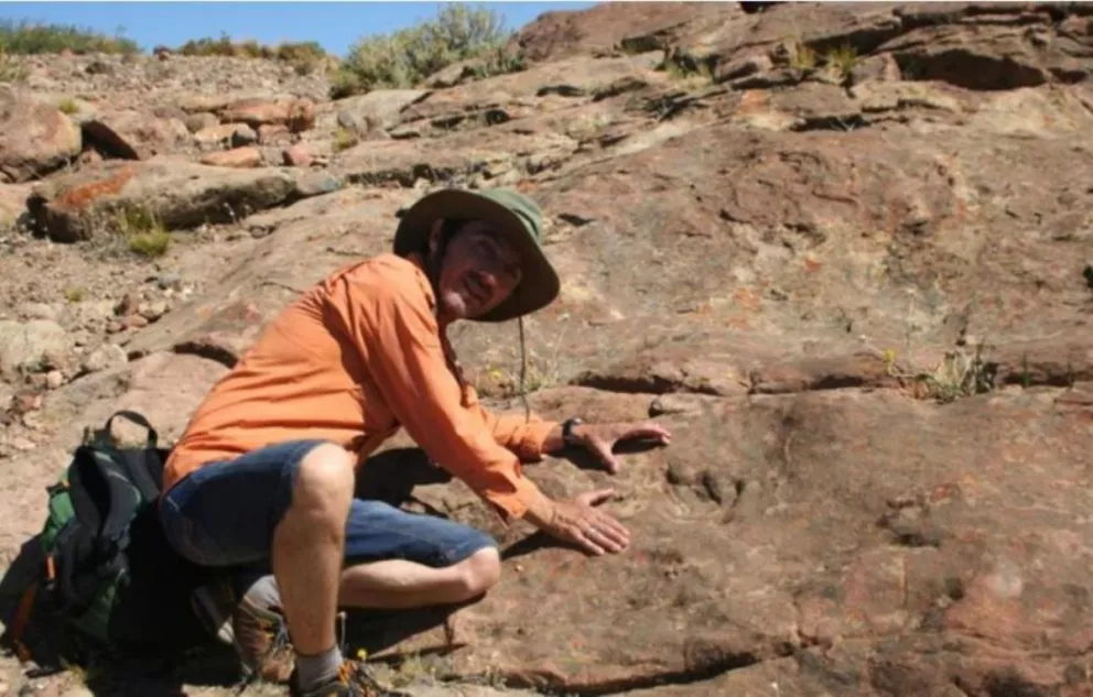 Encuentran la huella más antigua de un dinosaurio herbívoro en el hemisferio Sur