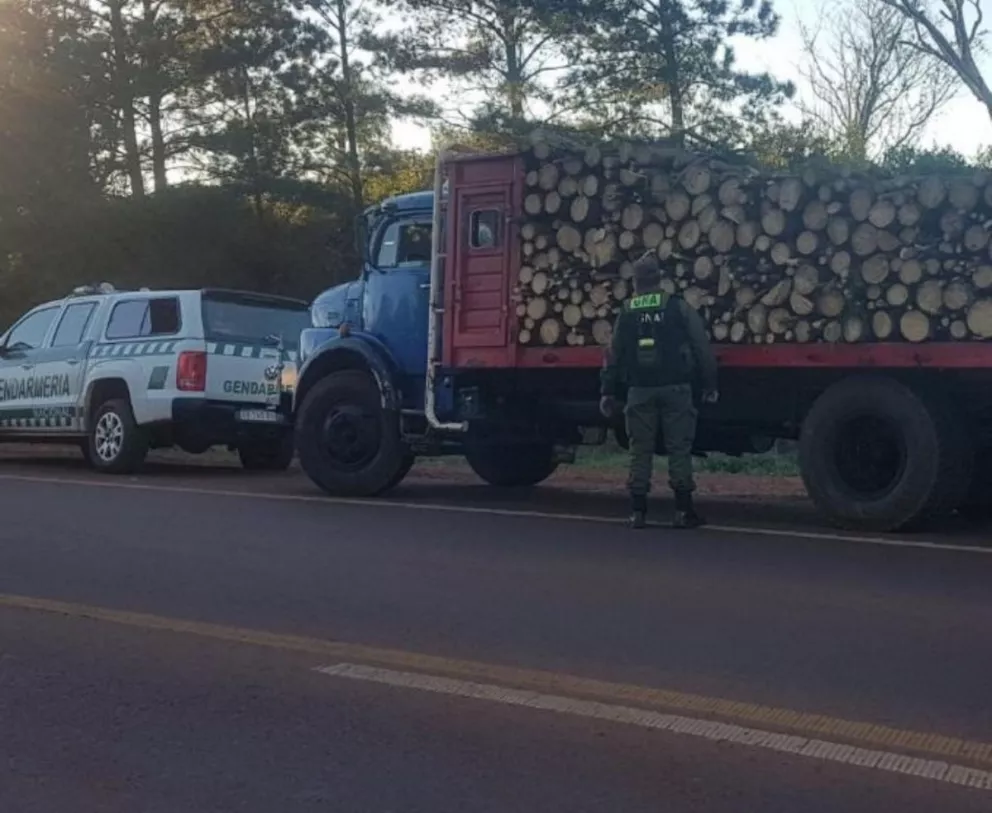 Gendarmería secuestró madera que era transportada de forma ilegal 