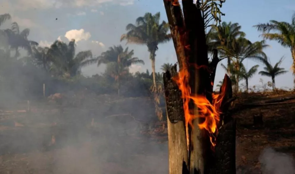 Abuchearon al ministro de Medio Ambiente de Brasil por los incendios en la Amazonia