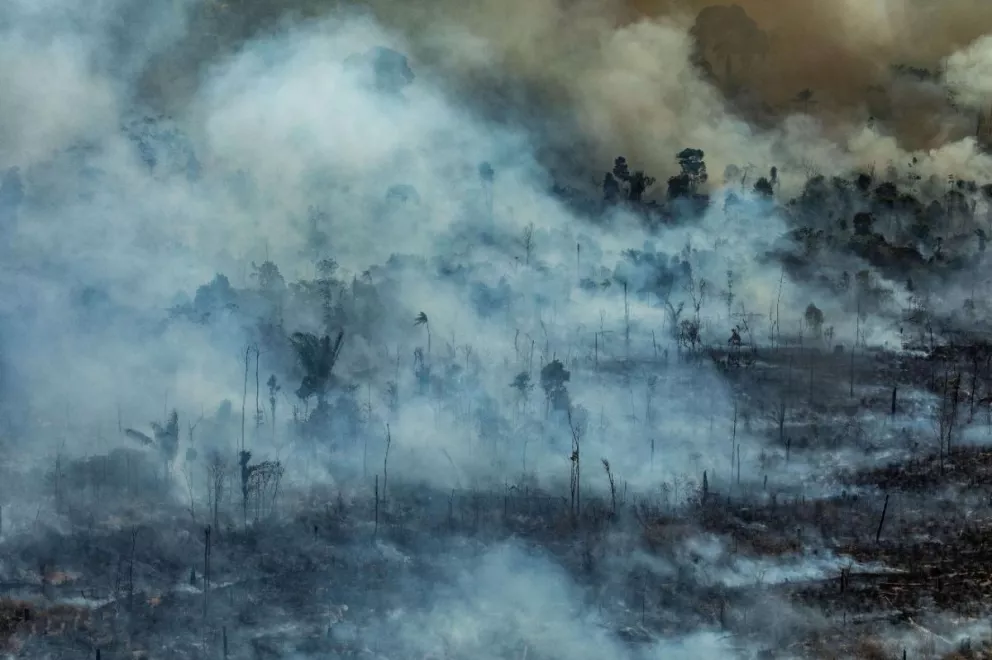 Giardini: “El gobierno debe poner todos los esfuerzos a disposición de la Amazonía”