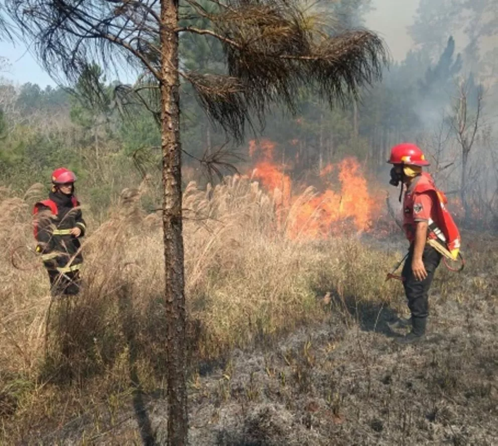 Incendio en la reserva San Juan arrasó al menos 50 hectáreas 