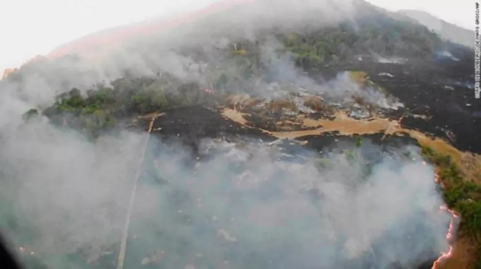 Incendio del Amazonas: aseguran que el humo afectará el norte de Argentina 
