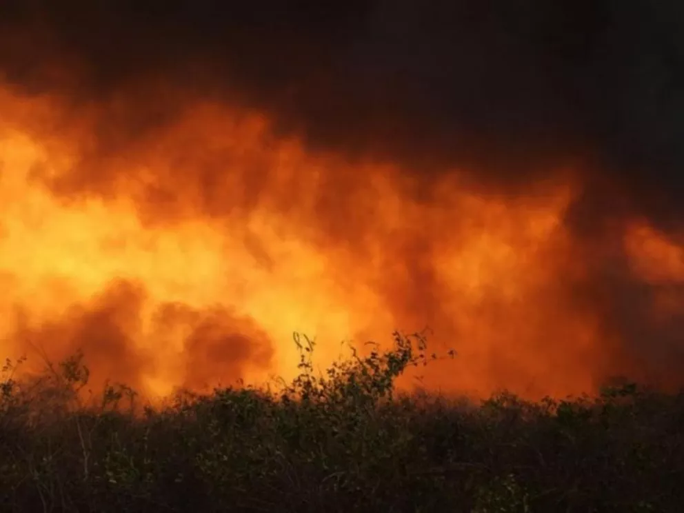 Incendios en Paraguay: ante el riesgo pobladores abandonan sus tierras 
