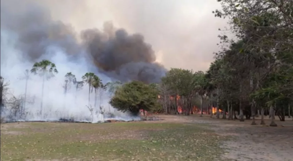 El fuego ataca amplias zonas del Gran Chaco Paraguayo desde hace varias semanas