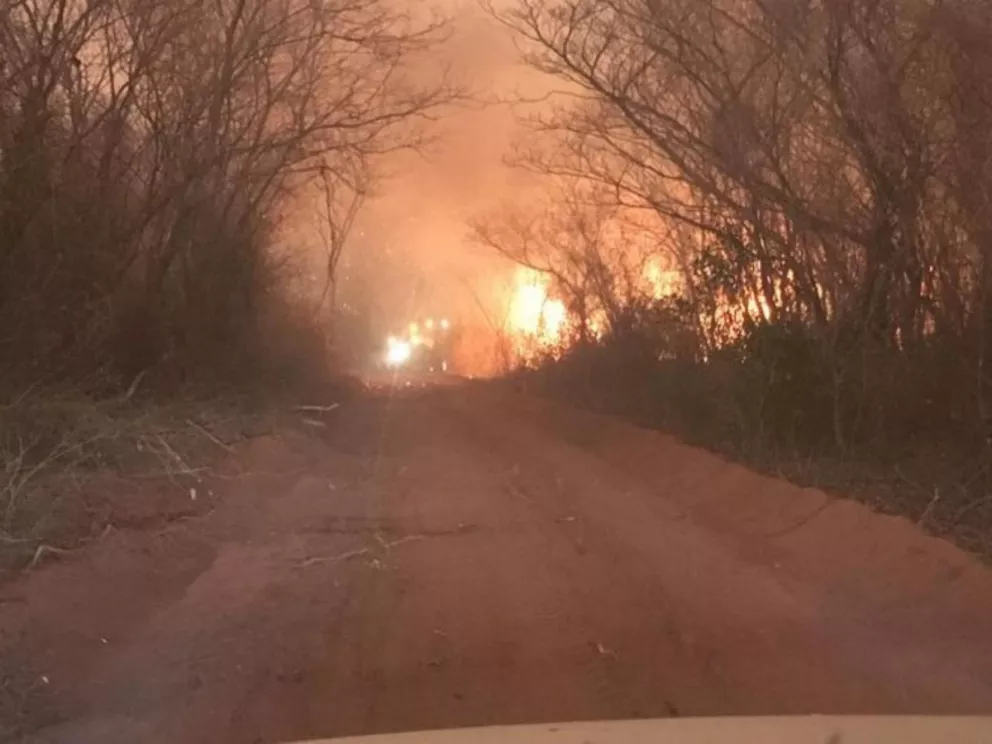 El fuego arraza con los bosques del Chaco Paraguayo