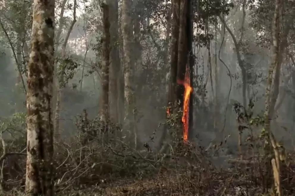 Iguazú: incendio en aldea mbya ya afecta a más de 20 familias que perdieron todo