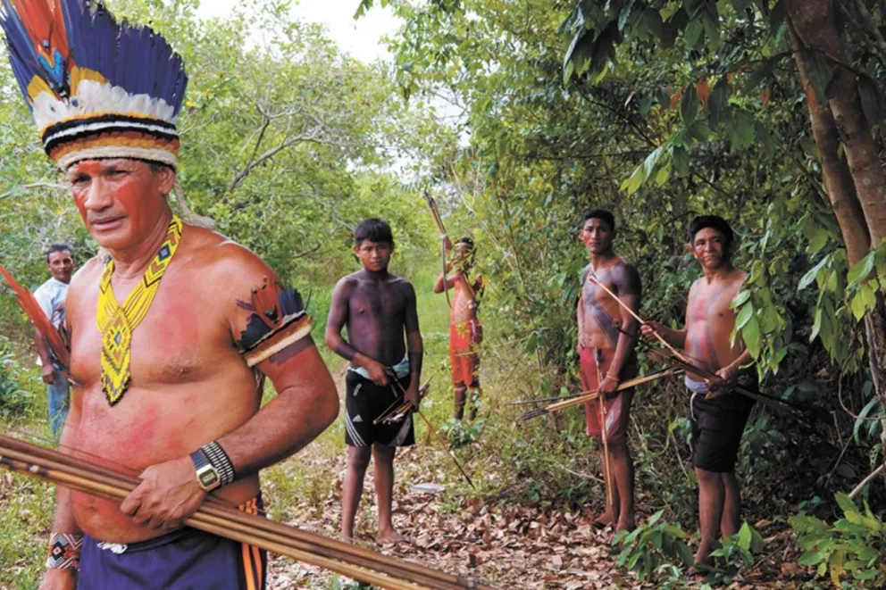 Tribu amazónica de Brasil va a la guerra contra madereros