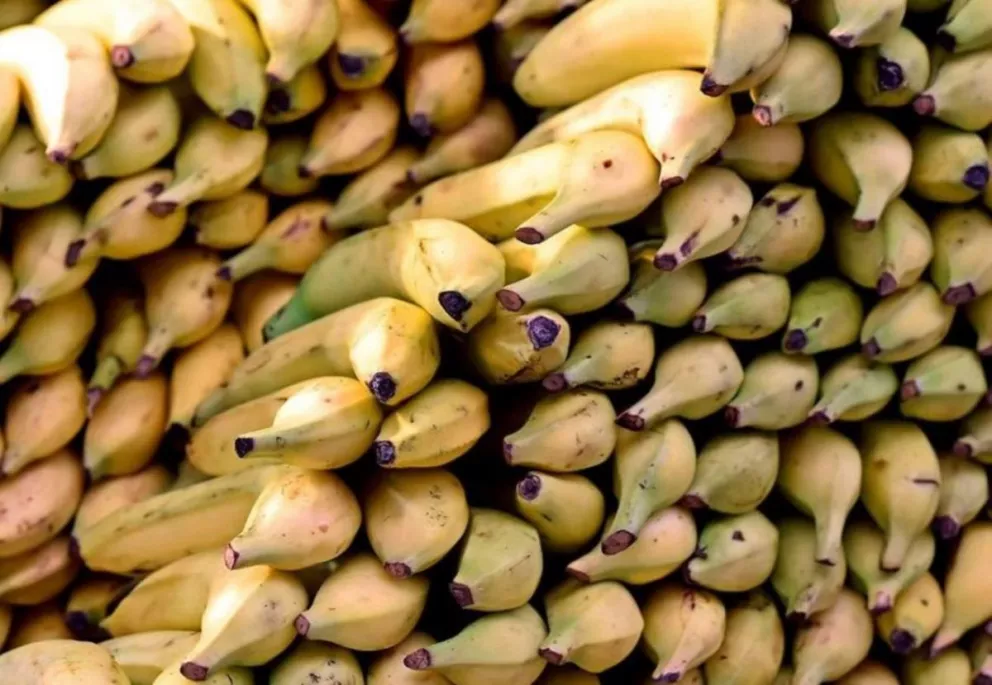 Por qué la crisis política en Chile hizo subir el precio de las bananas en Argentina