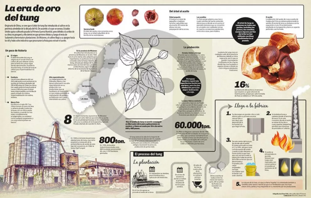 Infografía: La era de oro del tung