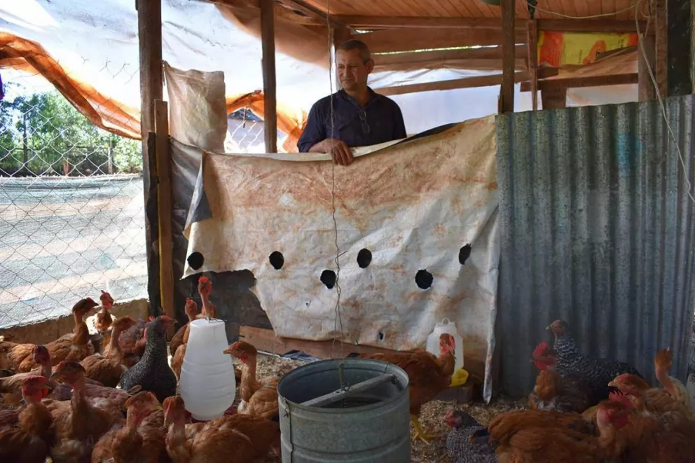 Jerónimo Montero se sostiene con la venta de gallinas, huevos y miel.
