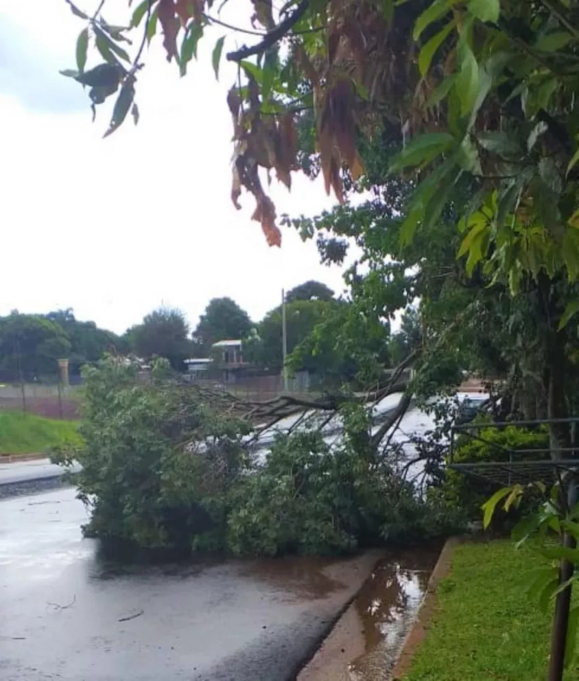 La tormenta dejó sin luz a Garupá, Candelaria y varios barrios de Posadas
