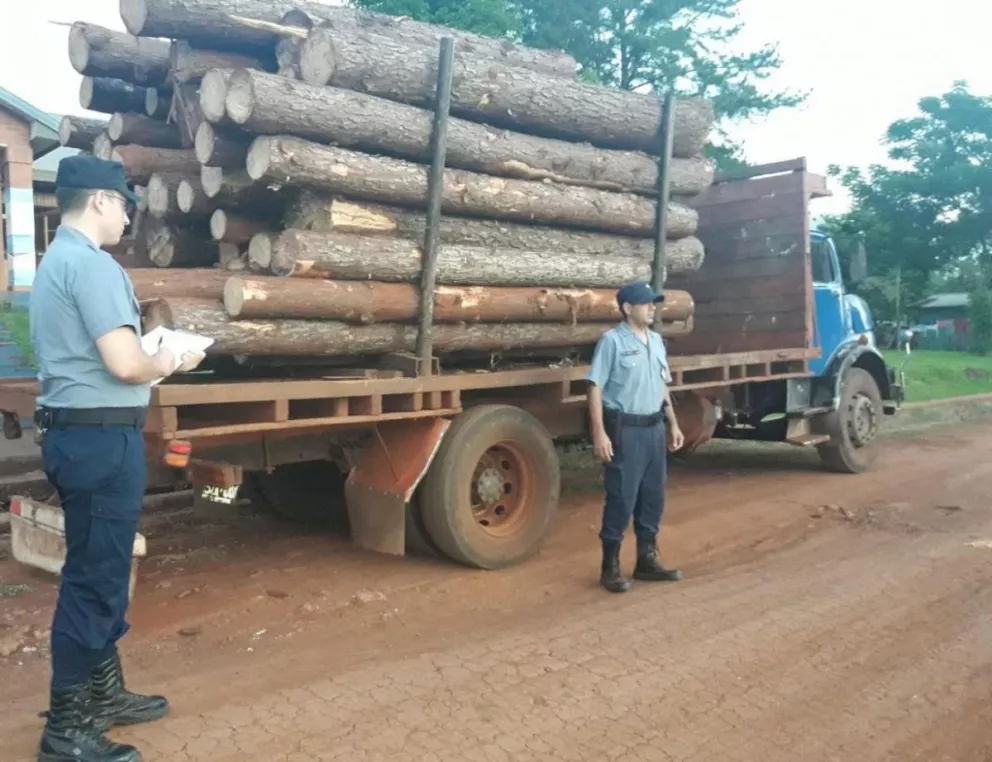 Apeo ilegal: recuperaron 65 rollos de pino robados
