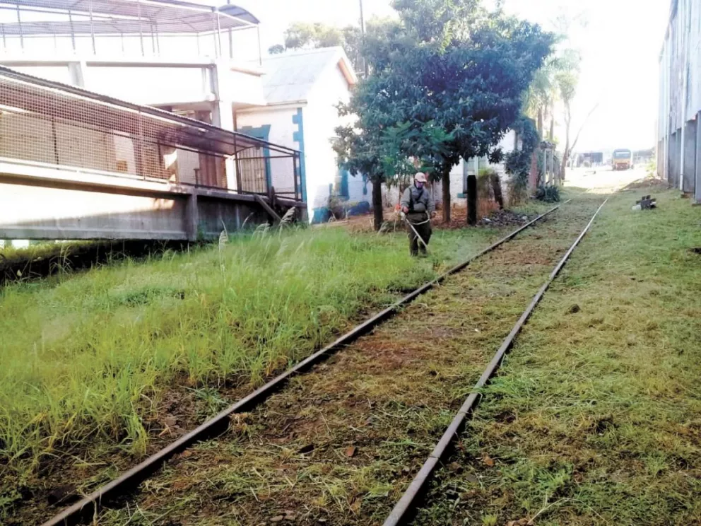 Avanza la puesta en marcha del tren entre Garupá y Posadas