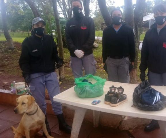 Can detectó marihuana que intentaron ingresar al Penal de Oberá Can detectó marihuana que intentaron ingresar al Penal de Oberá