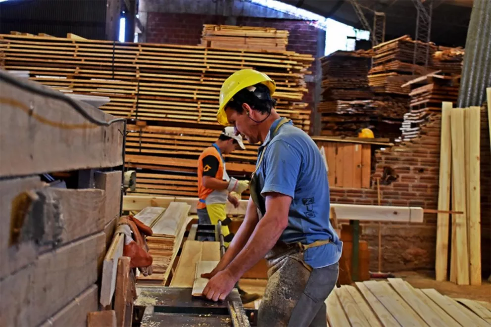 Sector forestoindustrial advierte por baja en la demanda interna de madera