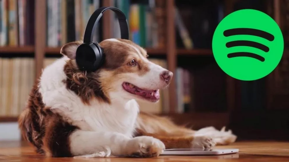 Spotify suma listas de reproducción y podcast para las mascotas