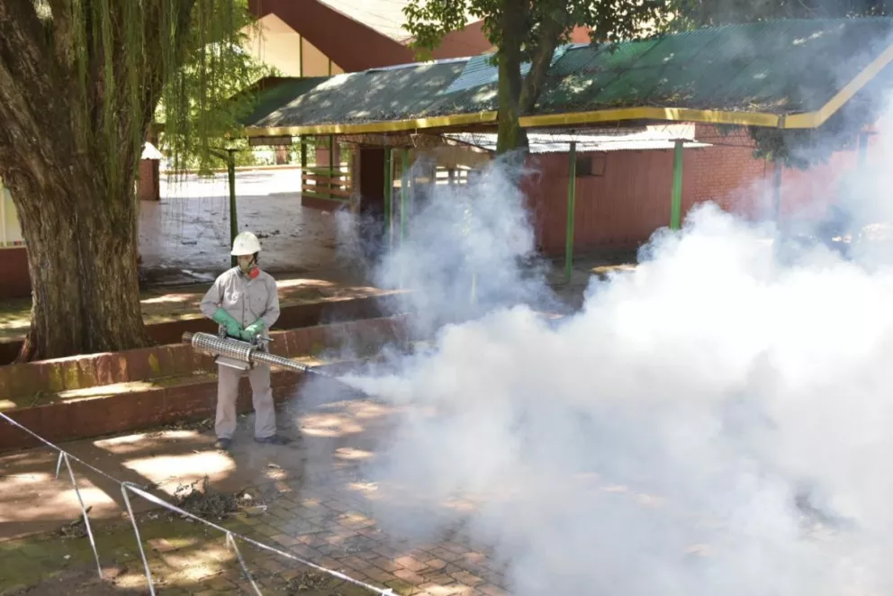 Dengue: son 185 los infectados en Misiones y Posadas concentra 3 cepas