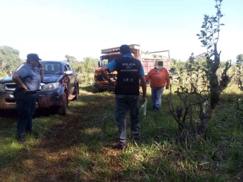 La policía detuvo a 11 personas que estaban cosechando yerba ajena en Campo Grande
