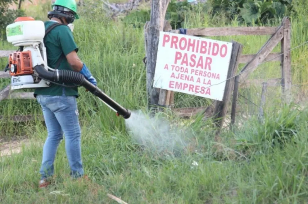 En Corrientes ya son 35 los casos positivos de dengue